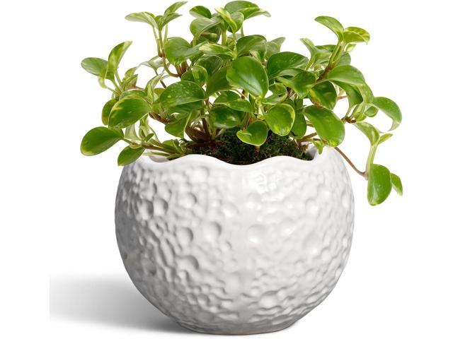 4 Inch Plant Pots - Ceramic Pots for Plants with Drainage Hole, Small Planter for Indoor Outdoor, Unique Succulent Pot, Decorative Modern Round...