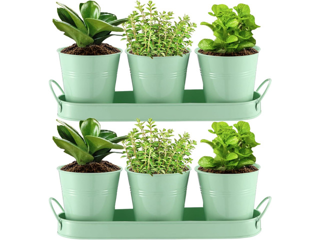 Hicarer 2 Sets Herb Planter with Tray Metal Herb Garden Planter with Drainage Farmhouse Windowsill Pots for Indoor Plants Flower Succulent Outdoor...