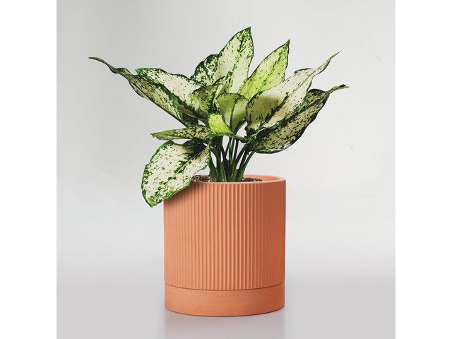 HERDUK Modern Terracotta Pots, 6 Inch Ribbed Textured Clay Planter Pots with Drainage Hole & Saucer, Garden Pots for Indoor/Ourdoor Plants,...