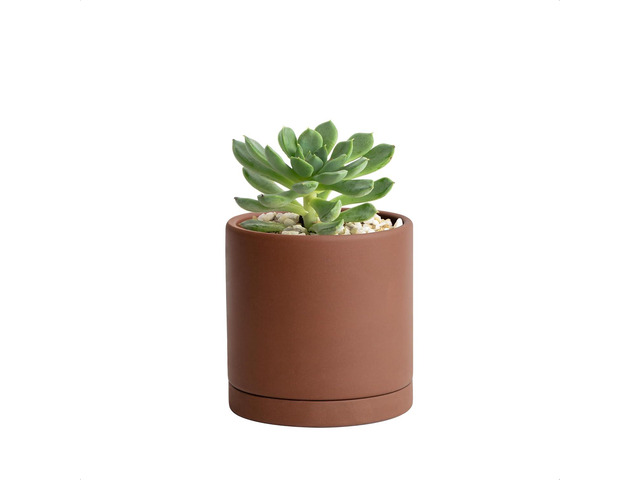 D'vine Dev 4 Inch Rust Terracotta Plant Pot with Drainage Hole and Saucer, Round Cylinder Planter Pot for Indoor Plants, 40-V-A-3