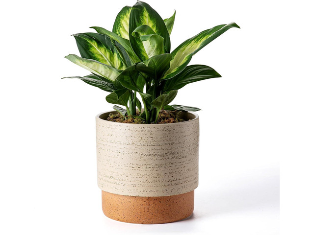 Self Watering Ceramic Planter: 8 Inch Plant Pot with Drainage Hole & Water Storage Plus for Outdoor & Indoor Plants, Succulents, Herbs - Flower Pot...