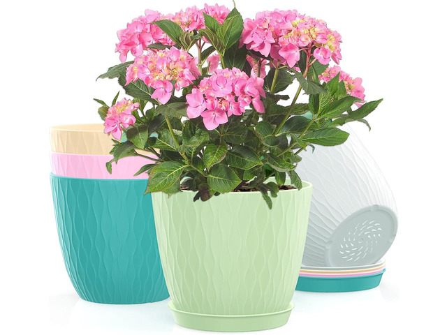 6 inch Flower Pots for Plants with Drainage Holes and Saucer, 5 Pack Plastic Plant Pots Indoor Planters for Outdoor Plants Small Garden House Home...