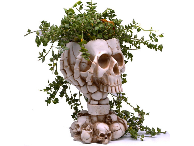 Skull Planter, Goth Flower Pot, Gothic Plant Pots, Succulent Pots with Drainage, Halloween Plant Pot, Tall White Skulls Statue, Funny Desk Home...