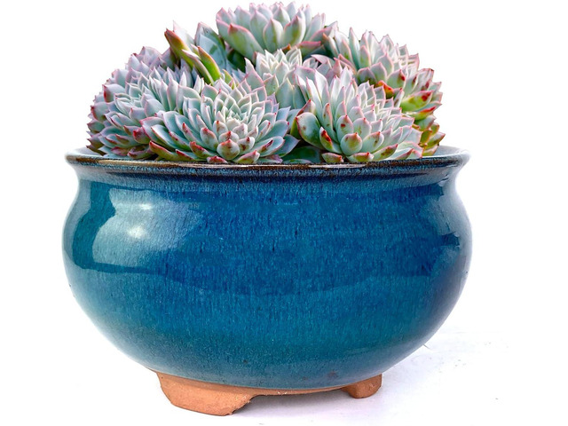 8 Inch Succulent Pot with Drainage and Saucer Glazed Terracotta Round Ceramic Succulent Planter Cactus Bonsai Plant Pot (Dark Green)