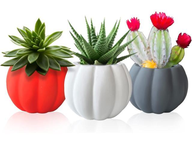 Ceramic Miniature Pumpkin Succulent Pots,Cute Halloween Decorations,Mini Pumpkin Decor Planters,Thanksgiving Decoration,Set of 3 Indoor/Outdoor...