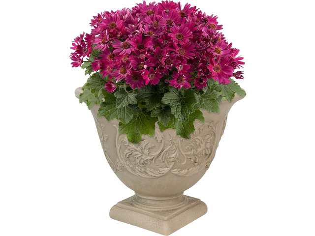 Sunnydaze 16-Inch Darcy Outdoor Pedestal Planter - Polyresin Large Round Plant Pot with Drillable Drainage Hole - Plastic Urn Planter for Outdoor...
