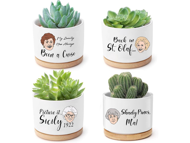 Mikopei Golden Girls Merchandise - Funny Succulent Pots Set of 4, Golden Girls Gifts for Women, Ceramic Mini Cute Planters with Bamboo Tray for...