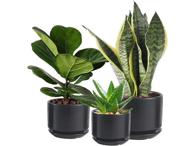 Ceramic Plant Pots with Drainage Hole and Saucer,Modern Indoor Pots for Plants,Ceramic Planter 6.7/5.3/4.3 inchs Set of 3,Indoor Flower Pot with...