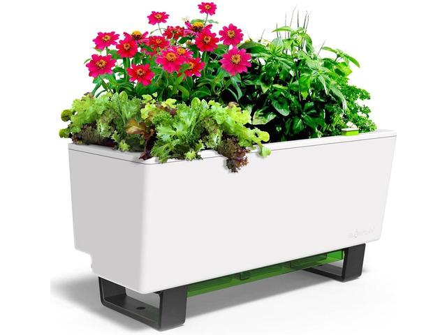 Glowpear Self-Watering Mini Bench Planter - 23.6' in Pot, Free Standing, UV Stable, Scalable, Indoor Outdoor Pot with Water Gauge, for Home...
