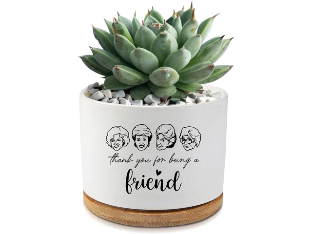 Golden Girls Merchandise,Thank You for Being A Friend,Succulent Flower Cactus Plant Pot with Drainage,Friendship Gifts for Friends Bestie...