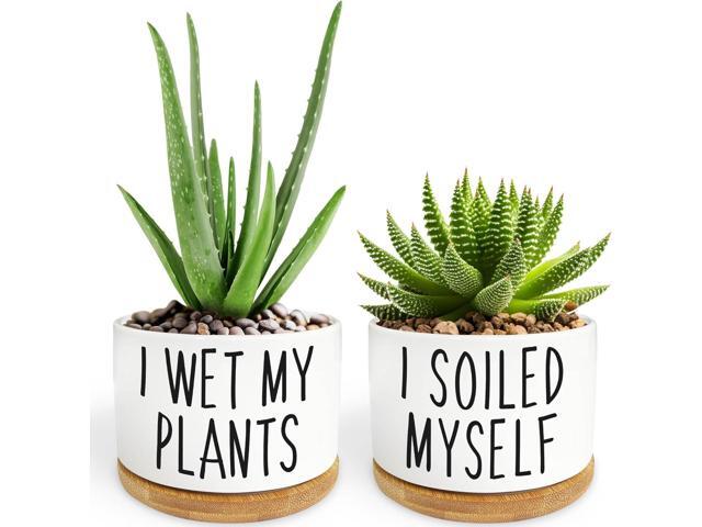 2 Pack I Wet My Plants - Funny Ceramic Planter Pot with Drainage, Cactus Pot, Cute Succulent Pots,Aloe Vera Plant Pot,Funny Plant Gifts for Women,...
