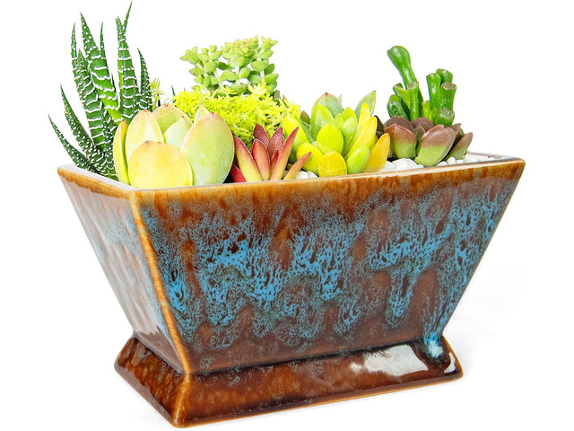 ARTKETTY Succulent Pots - 7 Inch Large Plant Pot with Drainage, Shallow Ceramic Succulent Planters for Indoor Outdoor Plants, Modern Cactus Bonsai...