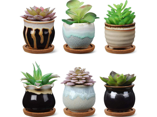 BBTO 6 Set Mini Succulent Pots Bulk with Drainage and Bamboo Tray 2.9 x 3.1 Inch Small Cute Ceramic Succulent Planter Pot Garden Glaze Container...