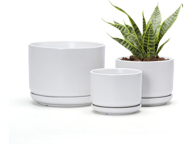 Ton Sin Plant Pots, 4.1+5.1+6.5 inch, Set of 3, Ceramic Planters with Drainage Hole and Saucer, Indoor Flower Pot with Drainage Hole, Gifts for...