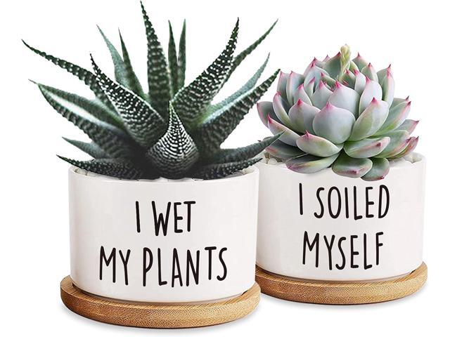 DOFAFALA 2 Pieces I Wet My Plants/I Soiled Myself Funny 3.5 inch Ceramic Flower Planter Pot with Bamboo Tray, Home Kitchen Office Decor...