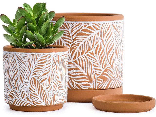 D'vine Dev Set of 2 Terracotta Pots, Leaf Pattern Planter Pot, 4 Inch and 6 Inch, Pot with Drainage Hole and Saucer, Terracotta/White, 31-958-T-1