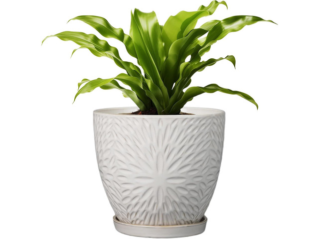 G EPGardening 8 Inch Ceramic Plant Pot with Drainage Hole and Saucer Round Planter Pot for Indoor Outdoor Plants Modern Large Flower Pot White