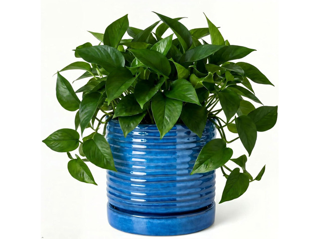HASENSE Ceramic Plant Pots Indoor Outdoor, 6 Inch Round Pot for Plants with Drainage Hole and Saucer, Reactive Glaze Blue Planter for Herb Snake,...