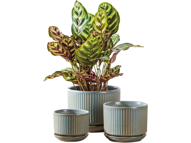 SURE YUESI Green Ceramic Plant Pots Set of 3 (4.3+5.5+6.7), Indoor Striped Planters with Drainage Hole, Mesh Pads, Decorative Pots for Plants &...