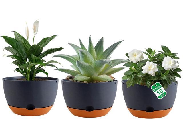 Nooulap 3 Pack Self Watering Planters for Plants Indoor,10 Inch Plant Pot Outdoor Plastic Flower Pot with Drainage and Saucers(Grey)