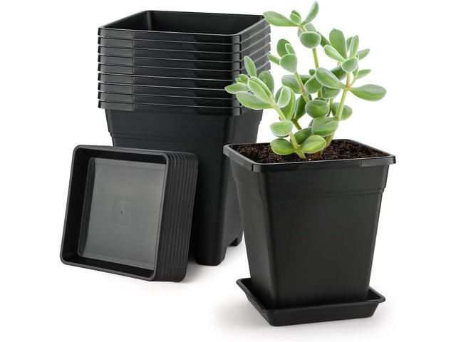 BTPLASTIK Square Plastic Planter 8 Inch, Plant Pots with Drainage Hole & Tray, 10 Pack Modern Decorative Garden Pot with Saucer, 1 Gallon Flower...