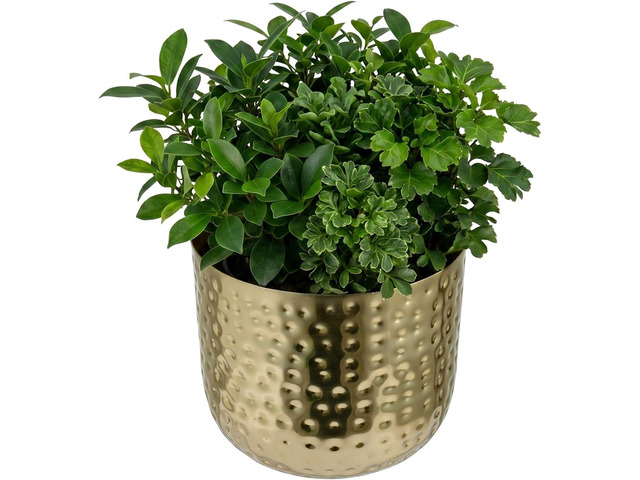 MyGift 6-Inch Shiny Brass Tone Metal Plant Pot with Hammered Texture, Cylindrical Indoor Succulent Planter - Handcrafted in India