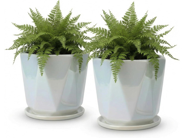 Coco Andrea Ceramic Plant Pots for Indoor Plants with Drainage & Saucers - 5-inch Iridescent White Planters for Houseplants, Succulents & Flowers -...