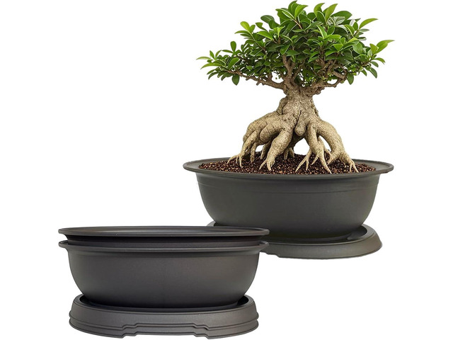 MUZHI 3 Pack Oval Bonsai Training Pot with Drainage Tray, Matte Finish Succulent Growing Pot for Home Garden Plant Outdoor Indoor Container (7.2'...