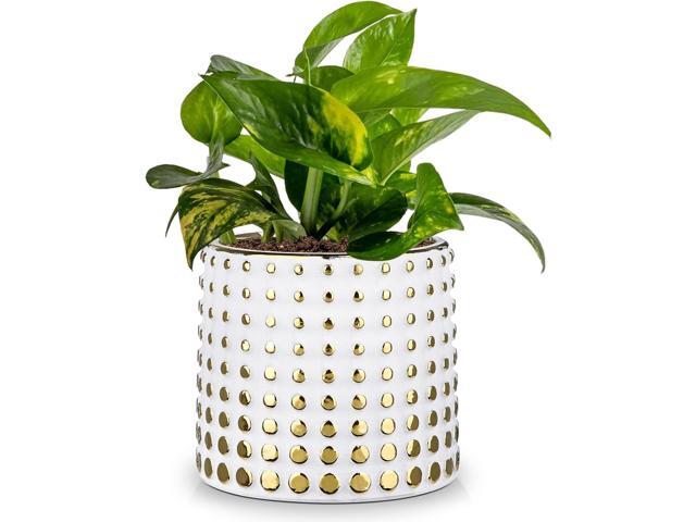 GnFlus Ceramic Plant Pots Indoor, 5.7 Inch Planters for Indoor Plants Gold Polka Dots Flower Pots with Drainage Hole, Cylinder Round Planters, Gold.