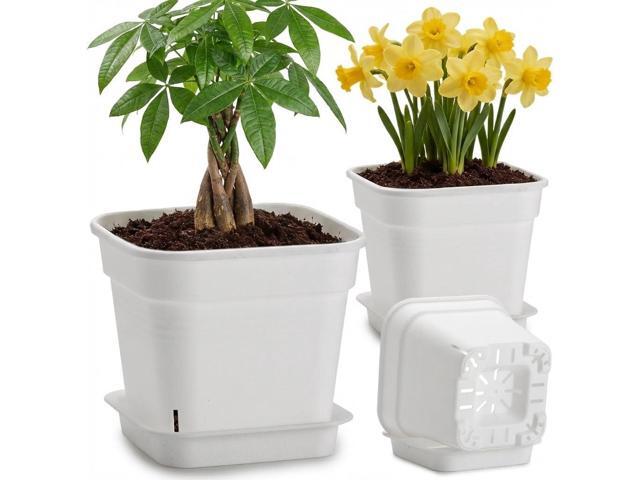 6 Pack 6/8/10 Inch Square Plant Pots with Saucers - 24-Strip Airflow Drainage for Root Health - Heavy Duty 5mm Thick White Plastic Orchid Planters...