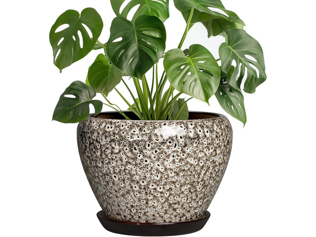 Ceramic Plant Pots - 8 Inch Planters for Indoor Outdoor Plants, Decorative Pots for Plants with Drainage Hole and Saucer, Modern Flower Pot, Room...