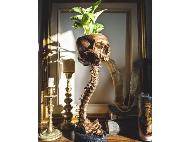 Skull Planter Gothic Skull Vase, Resin Skulls Bowl with Spine Stand Spooky Halloween Skeleton Tall Planters Centerpiece for Gothic Home Decor,.