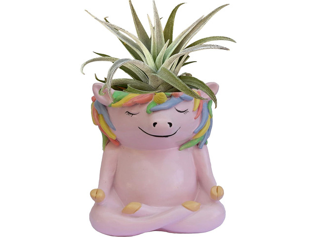 GFF Grass Flip Flops Meditating Animals Unicorn Planter - 4.1H x 3.5W x 3D Inch Plant Pot for Succulents Flower Herb Houseplant Live Plants Stand...