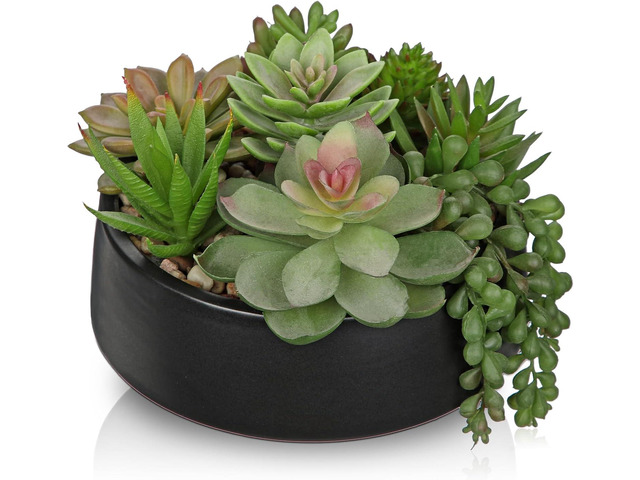 DILATATA Artificial Succulent Plants in Pot 5.5 Inch Fake Succulents Arrangement Potted Plant in Black Ceramic Planter Bowl for Home Office Desk...