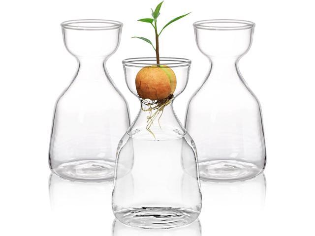 Hiceeden 3 Pack Avocado Seed Starter Vase for Growing, Glass Acorn Tree Growing Kit Vase, Small Avocado Tree Plant Pot Seed Planter, Flower Bud.