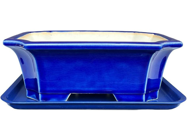 MUZHI Blue Bonsai Plant Pot 9.9 with Drip Saucer, Classic Glazed Ceramic Planter Container for Tree, Cactus, Succulent