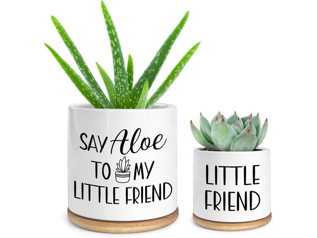 Say Aloe to My Little Friend Small Planter Pot, Funny Succulent Planter Pots Set of 2, Windowsill Decor Indoor, Small Succulent Pots for Women...