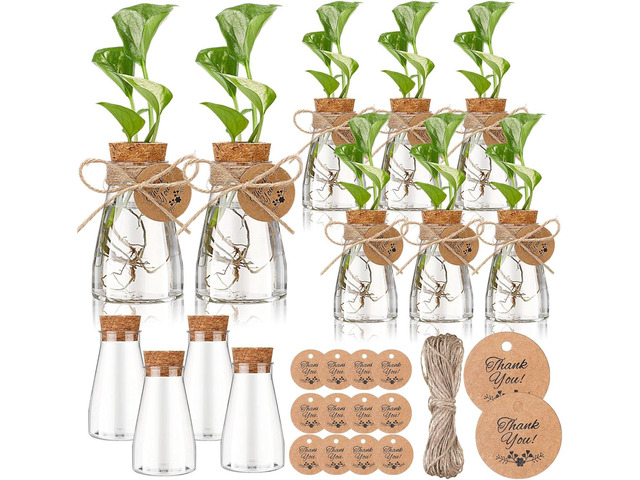Baderke 12 Pack 3.35'' Plastic Plant Propagation Stations with Hole Lid Planter Vase Clear Propagation Jars with Thank You Tags for Plant Lover...