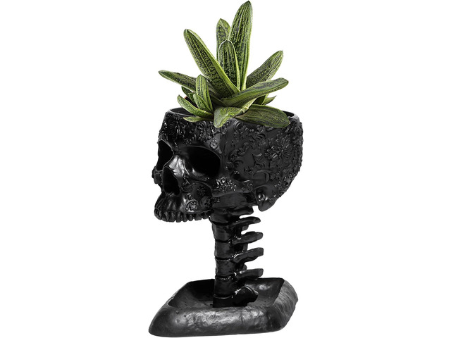 GUTE Skull Planter Pot, Makeup Brush & Pen Holder - Black Skeleton Backbone Plant, 6' Deep Polyresin Strong for Succulents Plants & Flowers -...