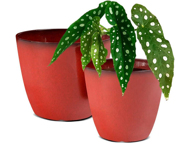 2 Pack Plant Pots Durable Decorative Flower Pots,8 Inch Planter with Drainage Hole + 6 Inch Planter Set for Indoor and Outdoor...