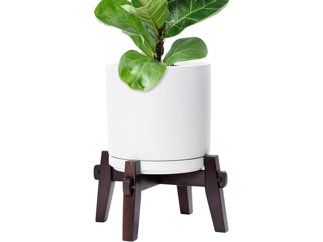 D'vine Dev Ceramic Planter with Wood Stand - 10 Inch Mid Century Modern Cylinder Indoor Plant Pot Set for Indoor Plants & Flowers, White, 55-A-X-1