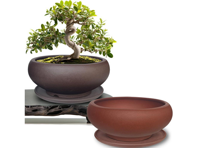 MUZHI 5.3 Round Ceramic Bonsai Starter Pots with Trays Set of 2 Brown and Red, Small Vintage Unglazed Succulent Pots with Saucers Minimalist...