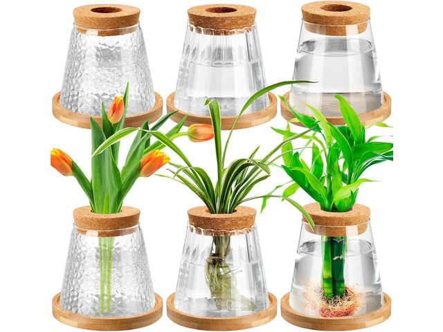 Beeveer 6 Pcs Plants Propagation Station Separated Desktop Plant Terrarium with Wood Lid and Stand, 3 Sizes Glass Planter Propagated Jars...