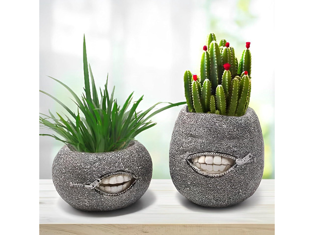 Unique Tooth Indoor Planter Pot Set-2,Funny Small Succulent Plant Pot,Novelty Home Decor Flower Pot,Cute Halloween Resin Flowerpot,Easter Island...