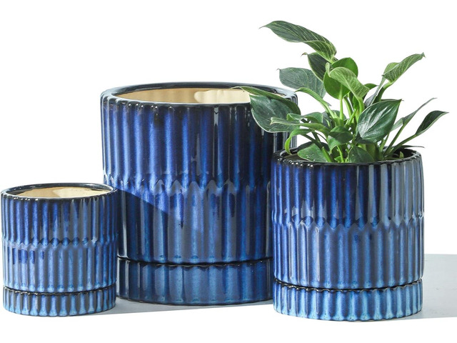 HASENSE Ceramic Plant Pots Set of 3 (8+6+4.6 Inch), Flower Planters with Drainage Hole and Saucer, Indoor Planter Pots for Succulents, Herbs, Ideal...