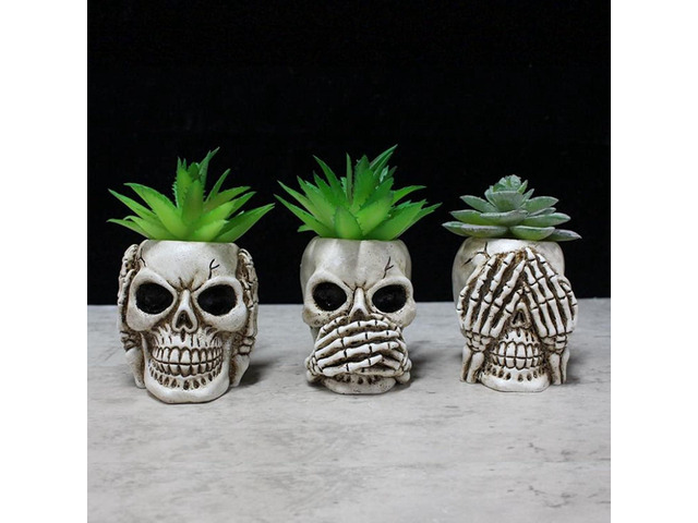 Simcat Succulent Pots with Drainage Mini Creative Skull Decor Resin Flower Pot 3 Cactus Planter Pots Succulent Plant Pots + Removable Drainage...