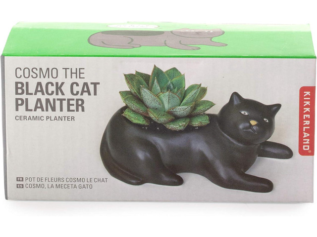 Kikkerland Cosmo The Black Cat Porcelain Planter, for Succulents, Herbs, Indoor/Outdoor House Plants, Home, Garden Decor