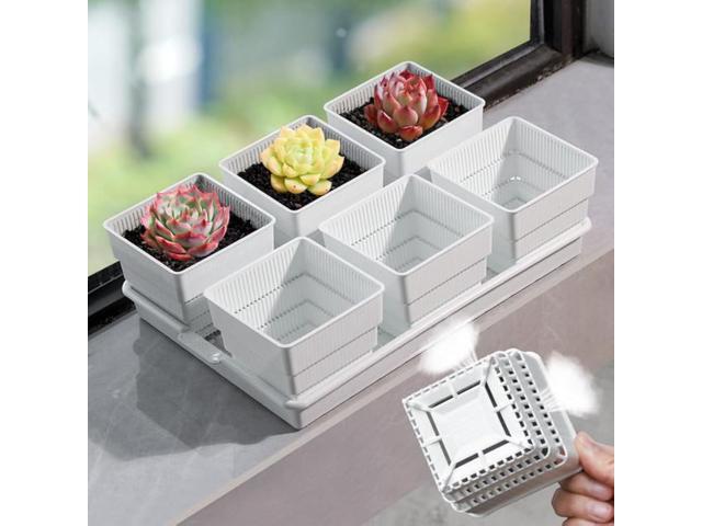 4 Inch Succulent Planters, Set of 6 with 14 x 9.4 inch Tray, Plastic Cactus Pot with Drainage, Square Seedlings Pot Match Long Rectangular Tray