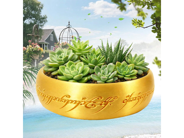 One Ring Succulent Planter Decor, 7.5In One Ring Cacti & Bonsai Planter & Catchall, Unique Ring Jar - Gift for The Ring Fans, Inspired by for Ring...