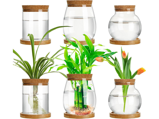 Beeveer 6 Pcs Plants Propagation Station Separated Desktop Plant Terrarium with Wood Lid and Stand, 3 Sizes Glass Planter Propagated Jars...